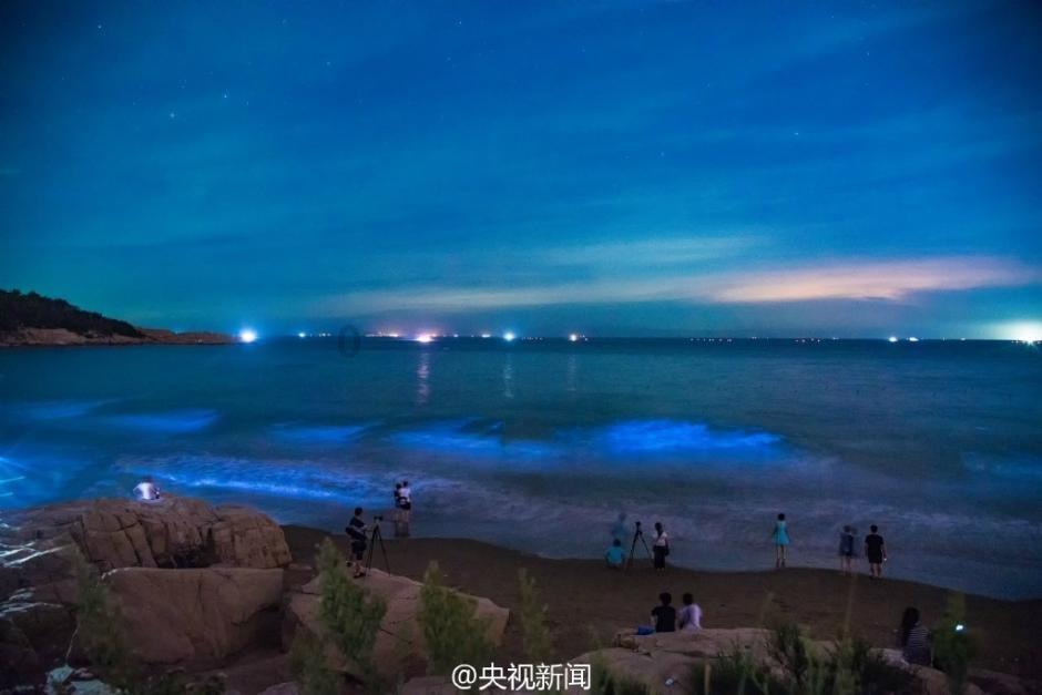 逃离世界杯的现场